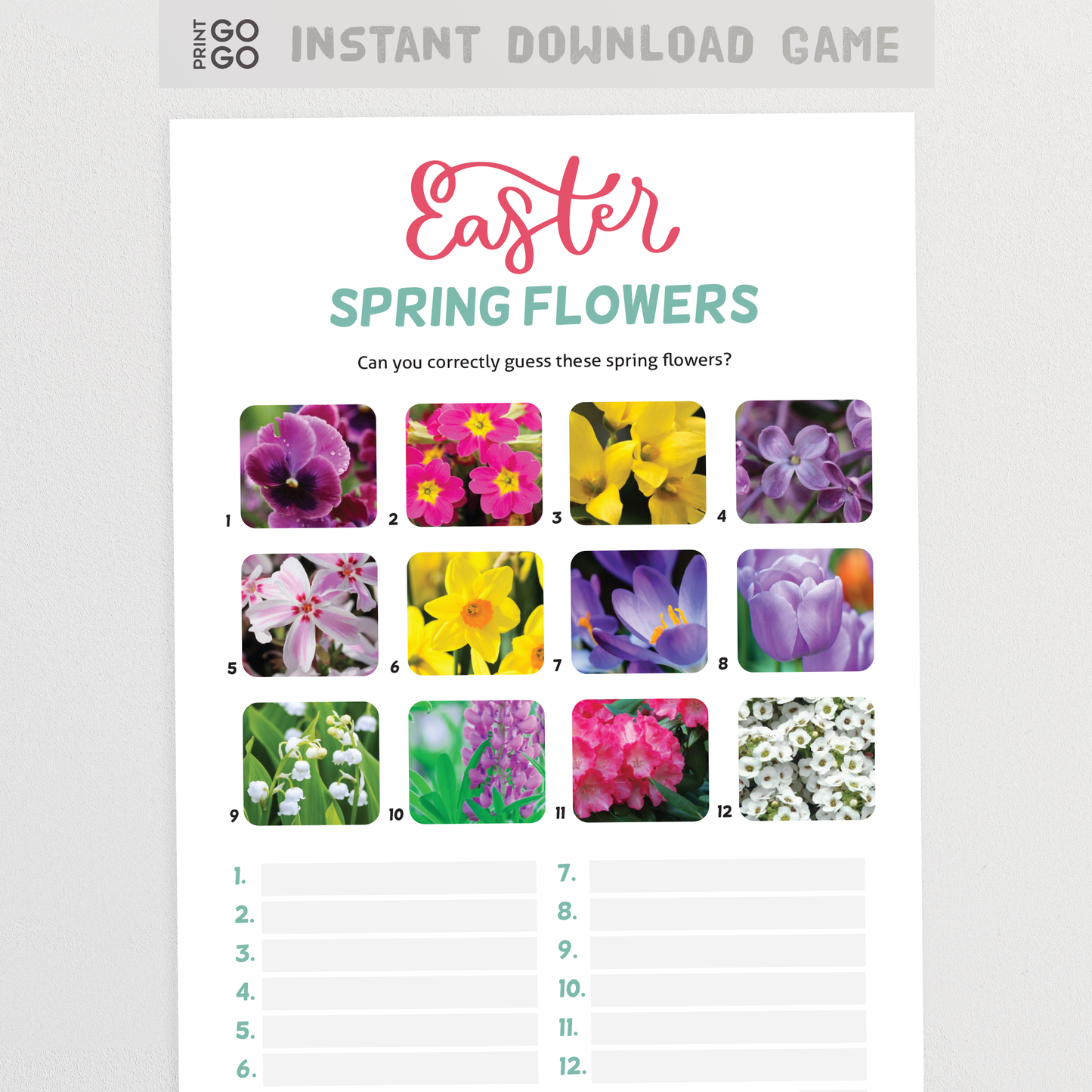 Spring Flowers Picture Quiz - The Fun Family Trivia Game of Plant Knowledge